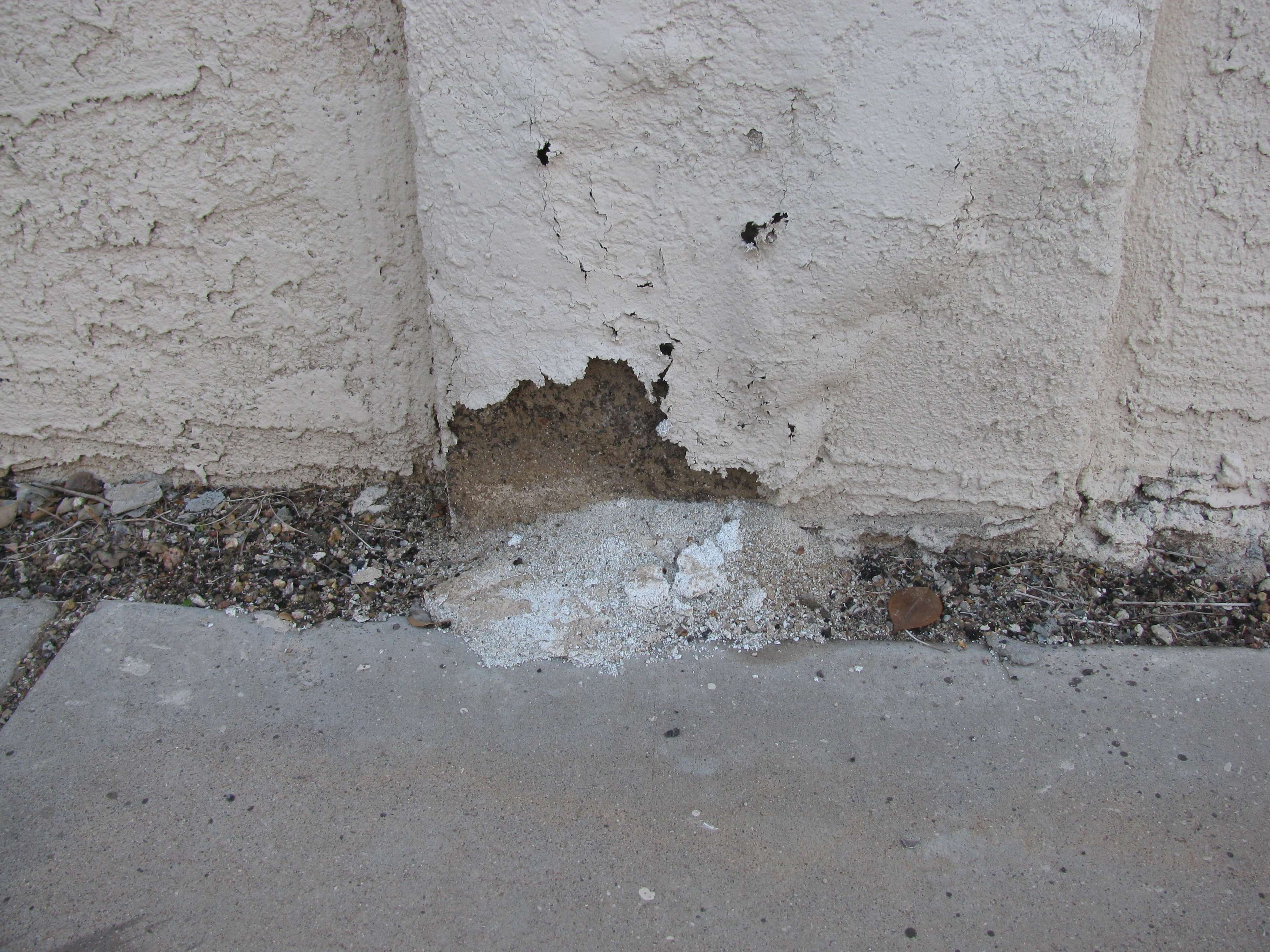 Open Stucco Blister Bubble 